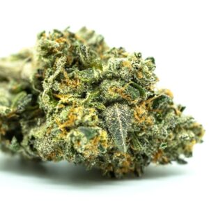 Cannabisblüte Nahaufnahme – legal & laborgeprüft
