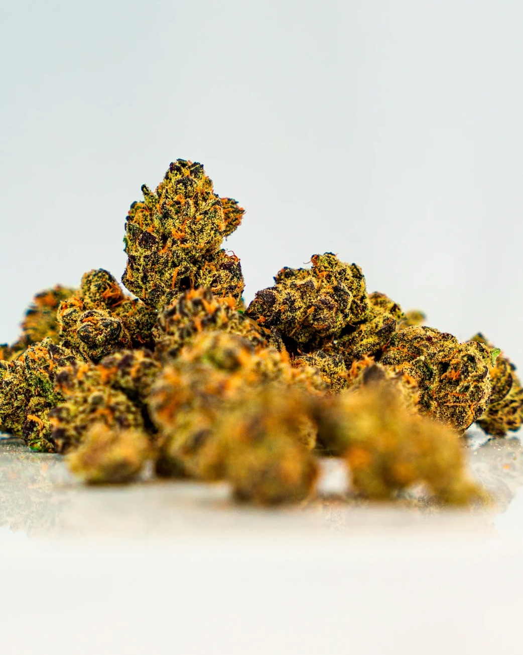 🔥 LD1 Golden Haze – Der Smooth Operator unter den Strains 🔥