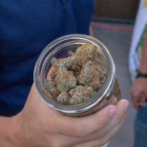 Cannabisblüte legal in Deutschland – Detailansicht
