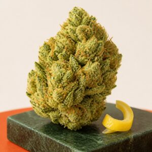 Hellgrüne CBD-Blüte mit Zitronenzeste auf dunkelgrünem Stein