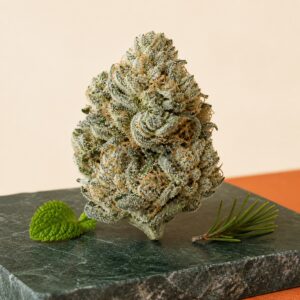 Frostige Cannabinoid-Blüte mit Minzblatt und Pinienzweig