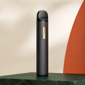 Schwarzes gebrauchsfertiges Vape-System auf dunkelgrünem Stein
