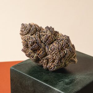 Violette CBD-Blüte auf dunkelgrünem Stein