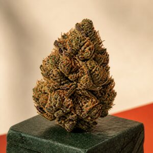 Dunkelgrüne Cannabinoid-Blüte mit kupferfarbenen Blütenfäden