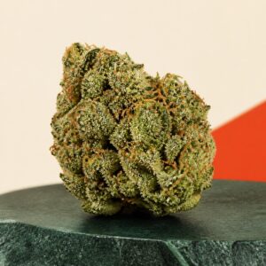 Leuchtend grüne Cannabinoid-Blüte auf dunkelgrünem Stein