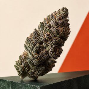 Dunkelgrüne längliche Cannabinoid-Blüte mit violetten Spitzen